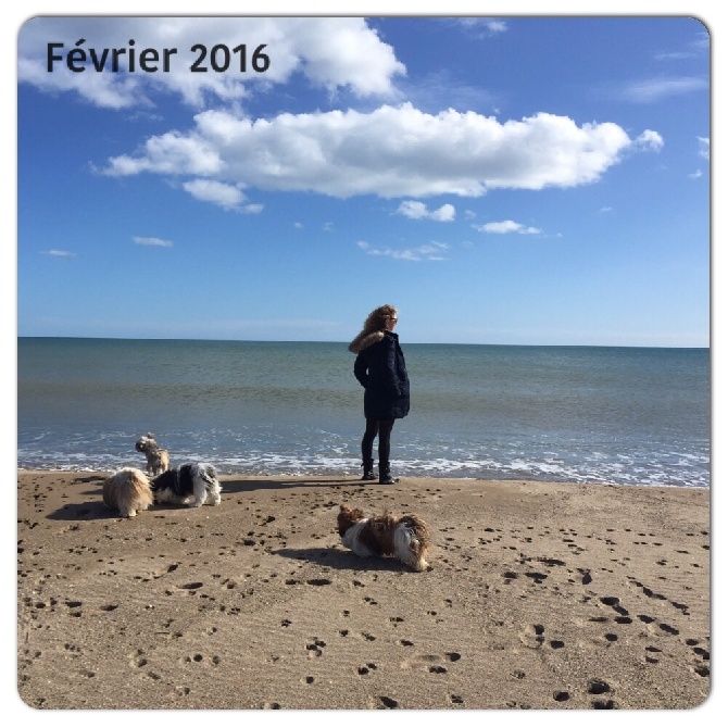 Des Princesses De L'Orb - Sortie à la plage.