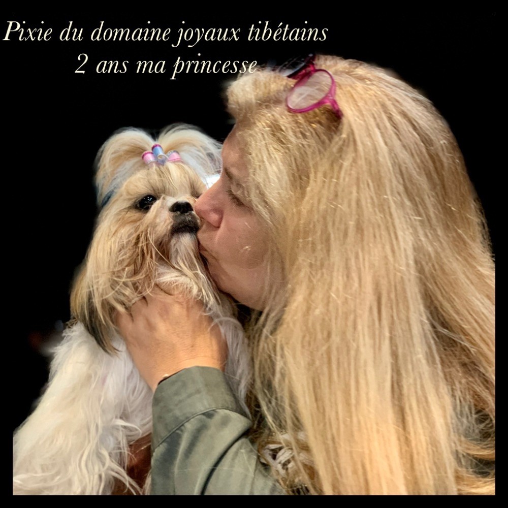 Pixie Du Domaine Des Joyaux Tibétains