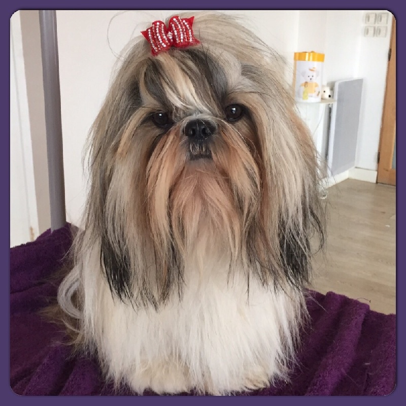 Jack Des Princesses De L'Orb
