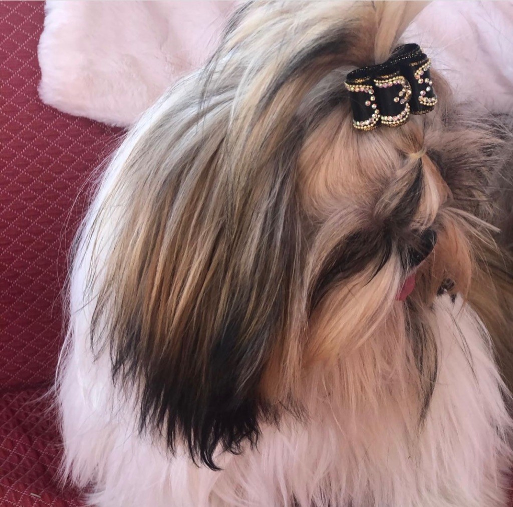 Pepper Des Princesses De L'Orb