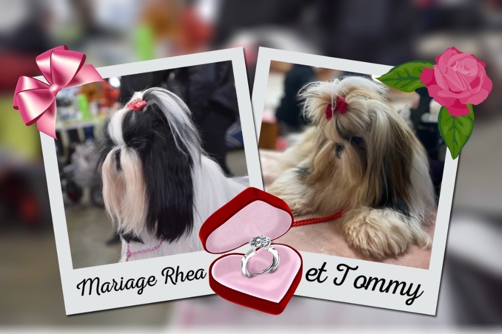 Nous attendons confirmation rdv 10 décembre 2025